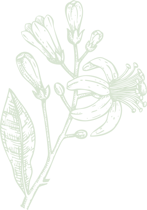 bestsellers-flower